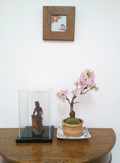 診察室の桜