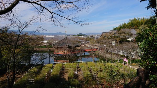 奈良大和四寺巡礼の旅